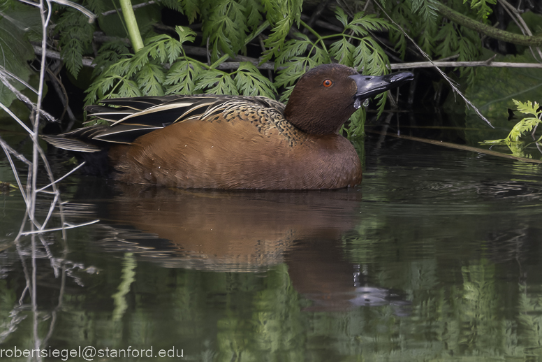 emily renzel wetlands 2023